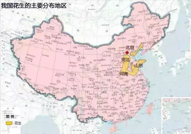 78m威九国际(集团)中国区有限公司-BinG百科