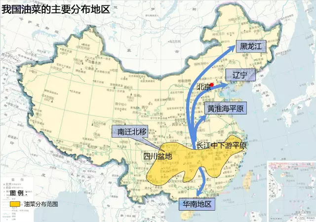 78m威九国际(集团)中国区有限公司-BinG百科