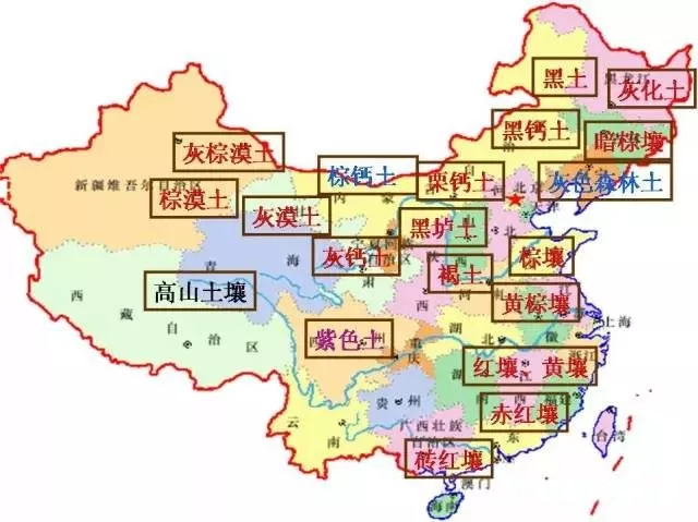78m威九国际(集团)中国区有限公司-BinG百科