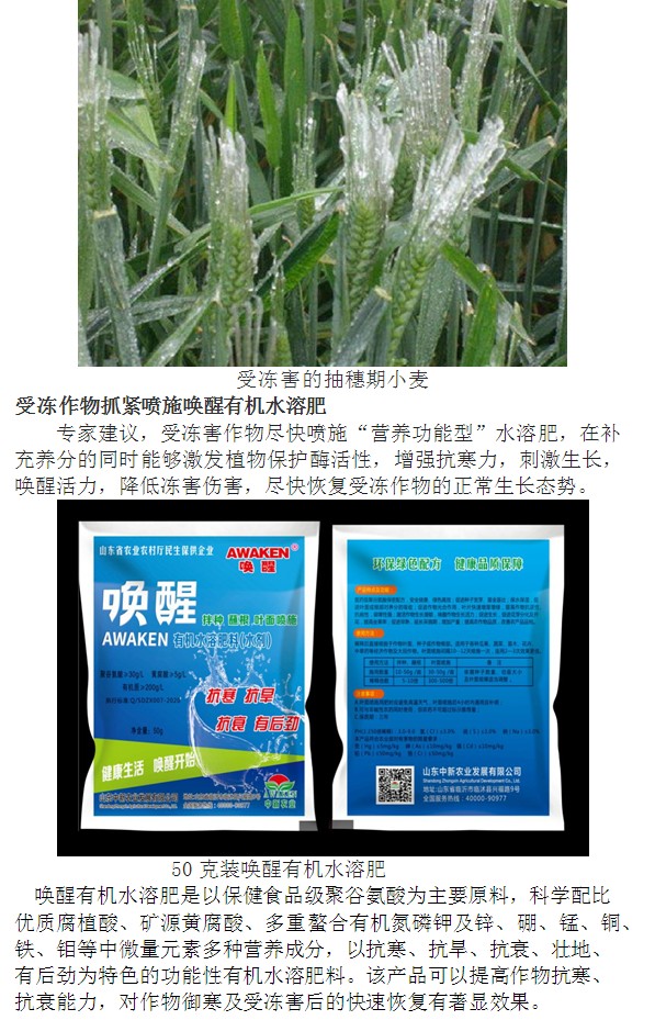 78m威九国际(集团)中国区有限公司-BinG百科