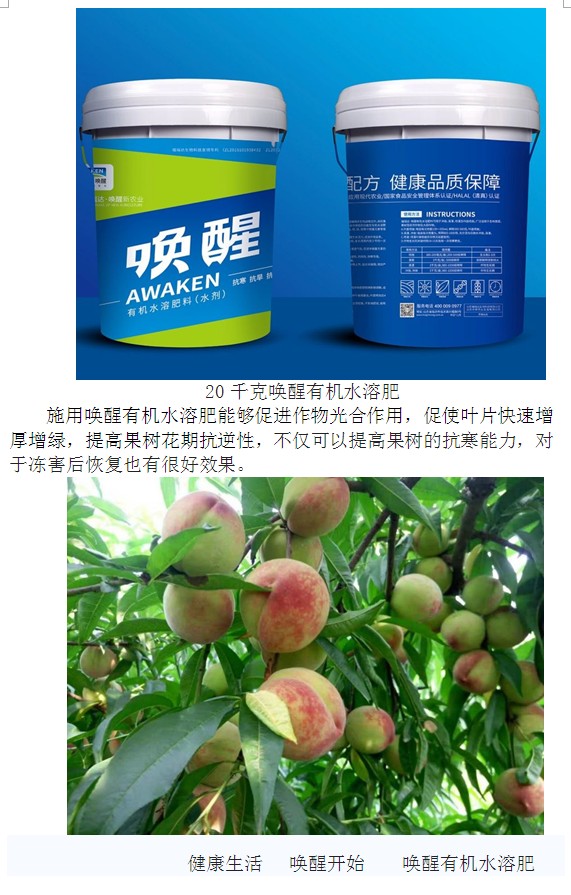 78m威九国际(集团)中国区有限公司-BinG百科
