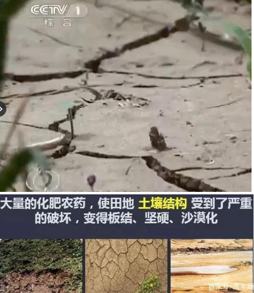 78m威九国际(集团)中国区有限公司-BinG百科
