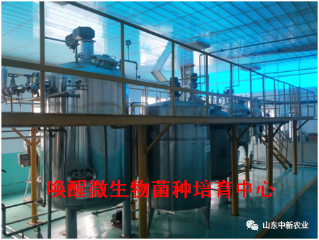 78m威九国际(集团)中国区有限公司-BinG百科