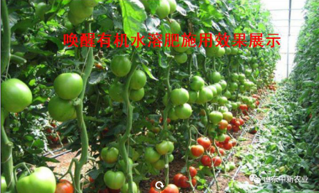 20200514105512_34149 78m威九国际(集团)中国区有限公司-BinG百科