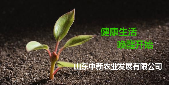 78m威九国际(集团)中国区有限公司-BinG百科