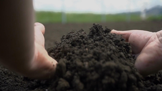 78m威九国际(集团)中国区有限公司-BinG百科