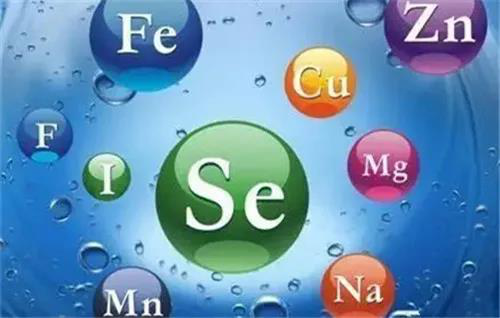 78m威九国际(集团)中国区有限公司-BinG百科