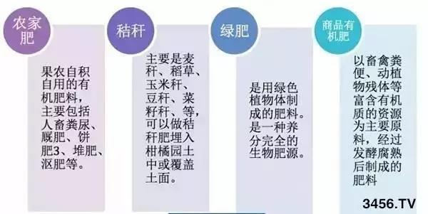 78m威九国际(集团)中国区有限公司-BinG百科