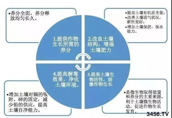 78m威九国际(集团)中国区有限公司-BinG百科