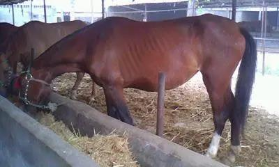 78m威九国际(集团)中国区有限公司-BinG百科