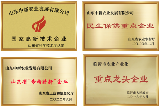 78m威九国际(集团)中国区有限公司-BinG百科