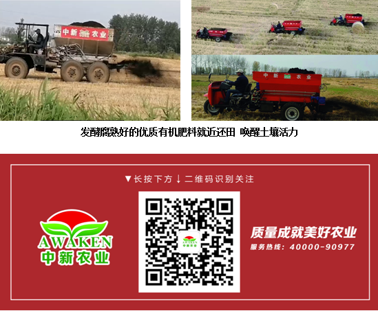 78m威九国际(集团)中国区有限公司-BinG百科